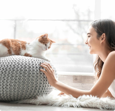 Woman looking at her orange and white kitten. Brightly lit background with window.