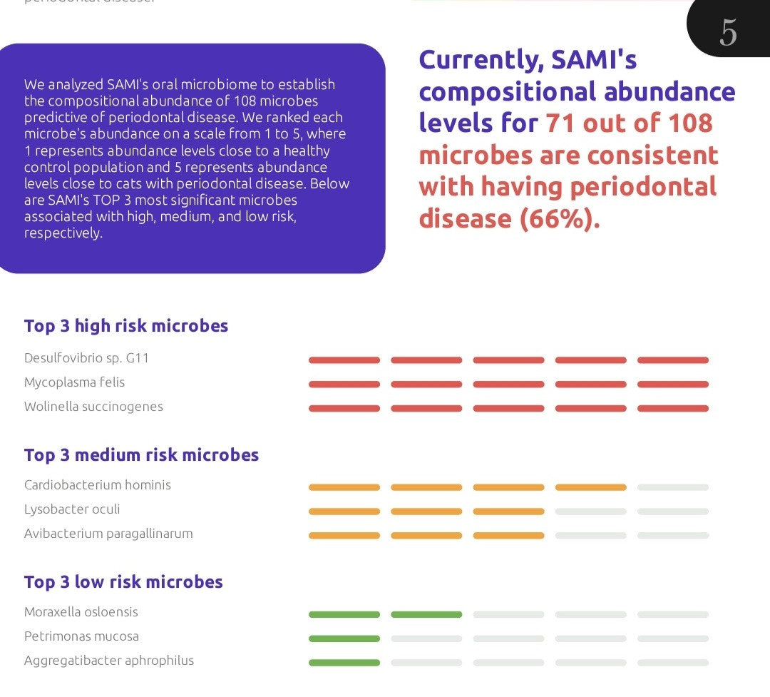 Sami the cat's periodontal disease results from Basepaws oral health test.