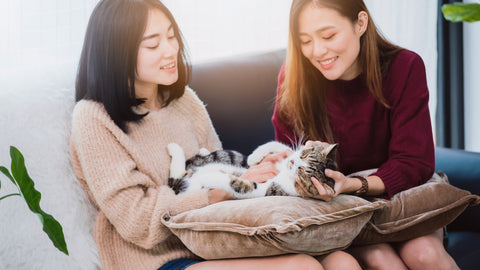 Two women sitting on a couch and petting a young cat
