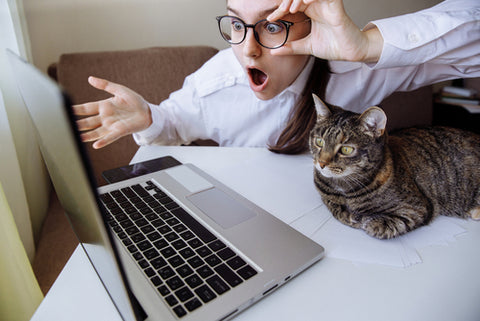 Woman looking surprised at her computer screen, her tabby cat sits with her.