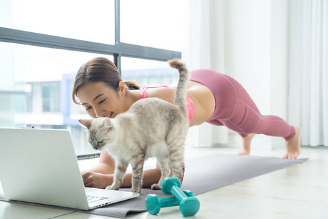 Young woman doing yoga with her cat in front of a laptop