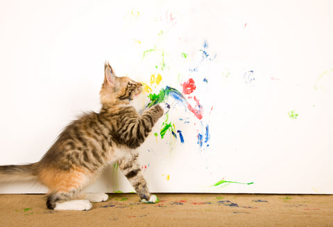  rare image of cat actually painting on white canvas