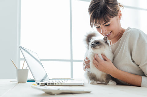 Young woman sitting at desk and cuddling her lovely cat, togetherness and pets concept