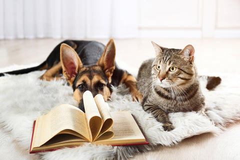 German Shepherd dog laying next to tabby cat looking like they're reading books.