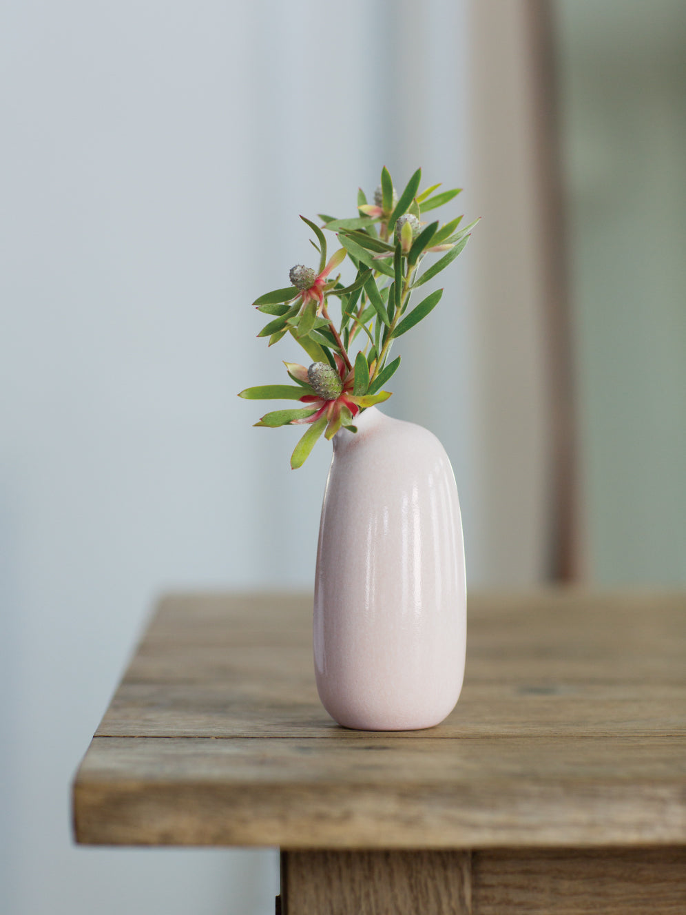 SACCO vase porcelain with plants 