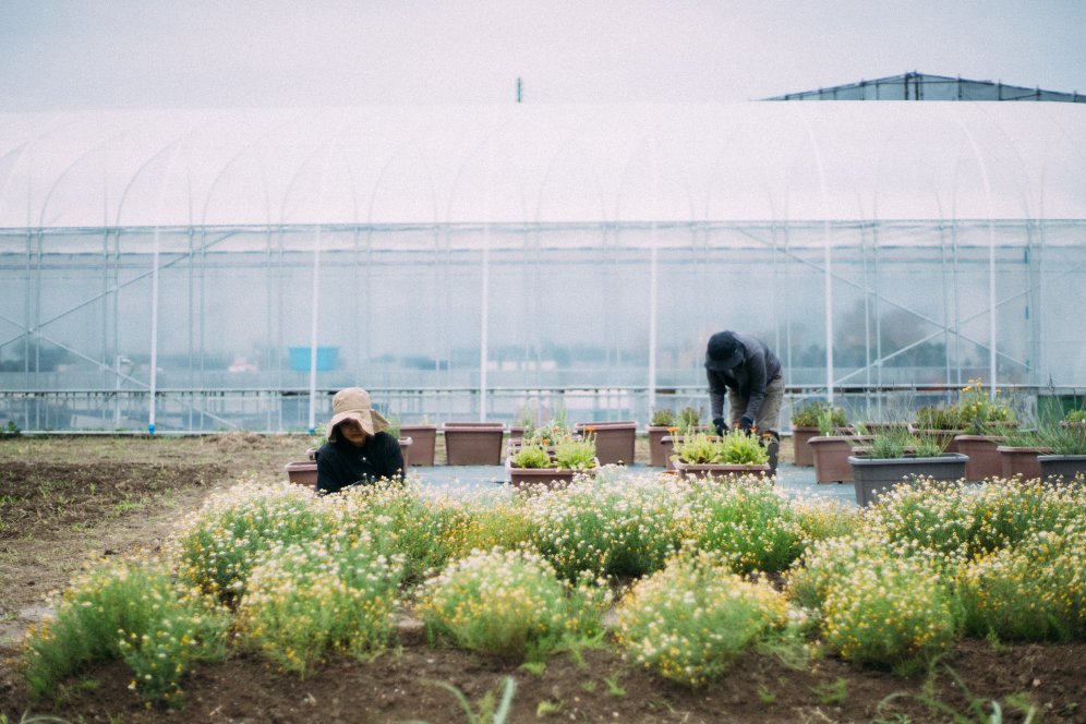 kinto-farm-shiga-prefecture-1