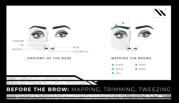 Eyebrow Mapping, Trimming, and Tweezing