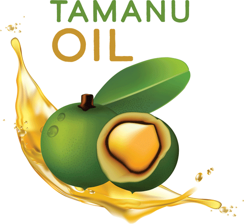 Tamanu Oil 