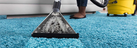A person vacuuming a carpet