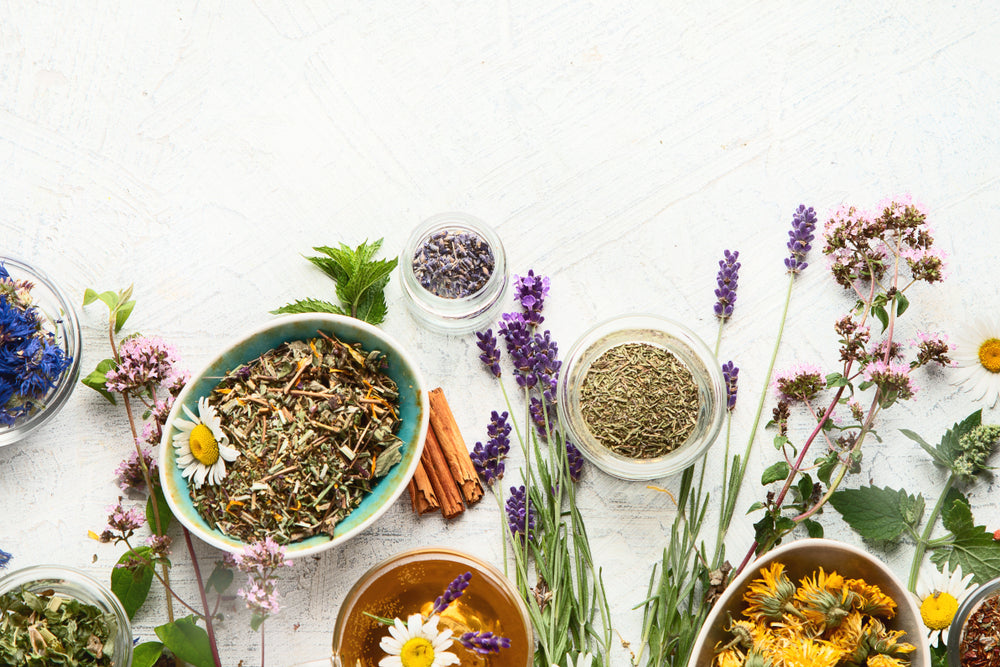 Embrace the power of healing herbs and supplements to to Support Your Hormones on Stressful Days