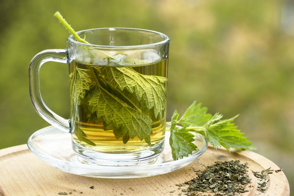 Best Herbs That Contribute to Women's Health
