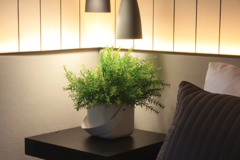 Choose soft lighting to Design a Tranquil Home