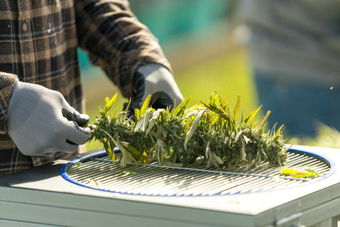 hemp fan table