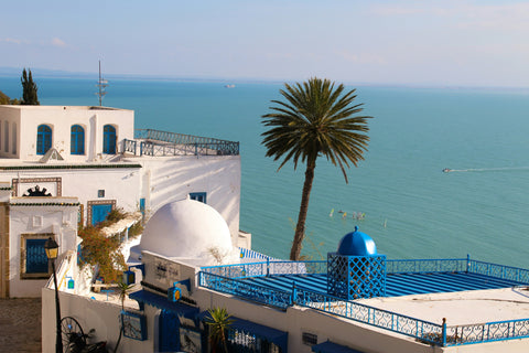 best-places-to-propose-Tunisia