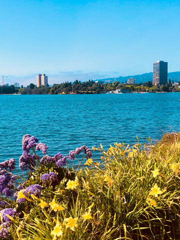 best-places-to-propose-Oakland