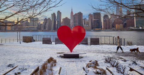best-places-to-propose-Williamsburg-Brooklyn