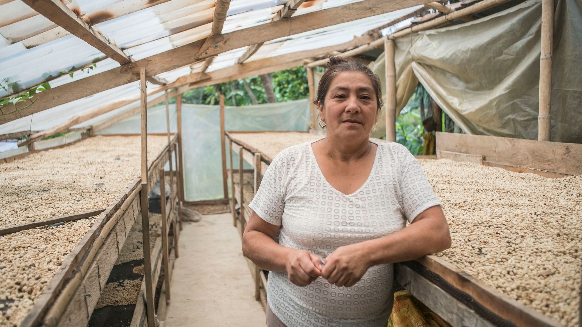 Colombian Café Femenino - Image courtesy of Fair Trade TRANSFAIR USA. 