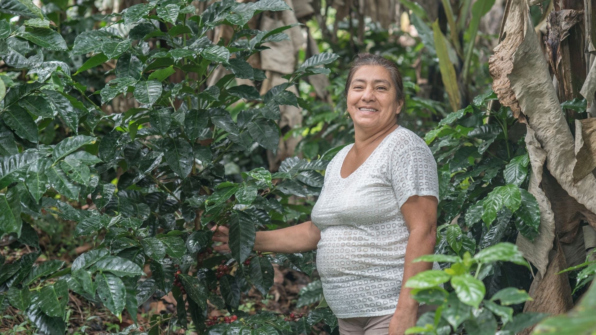 Colombian Café Femenino - Image courtesy of Fair Trade TRANSFAIR USA