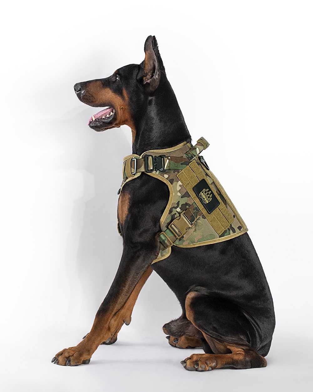 LAOPAW™ TACTICAL DOG COLLAR