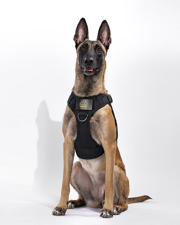 The Best Tctical No Pull Dog Harness & K9 Harness/Vest 2022 | LaoPaw ...