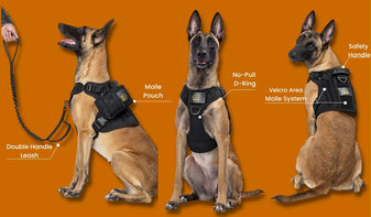 Ultimate Tactical Dog Gear Set  Leash & MOLLE Pouches - OnePaw – One Paw  Dog Company