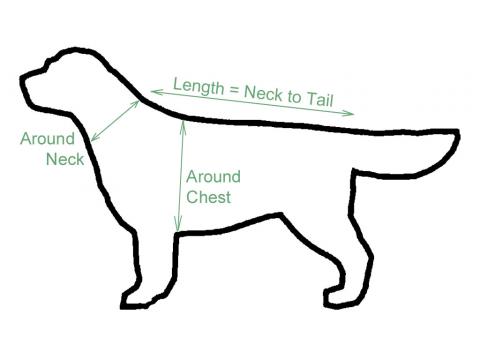 Lucky paws store store measure guide