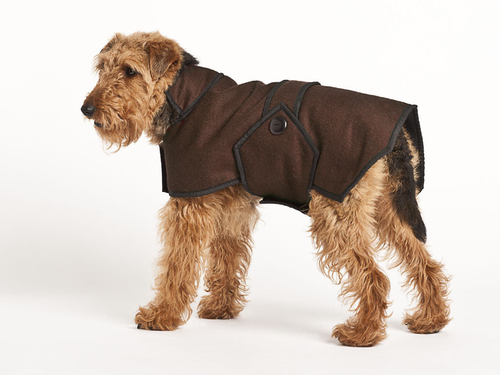 wool dog coat