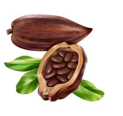 Cacao Icon