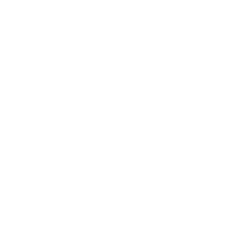 Arabica bean icon