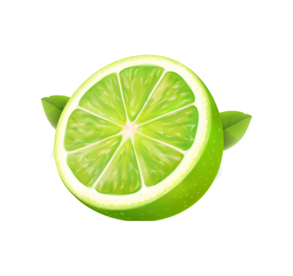 Lime Icon