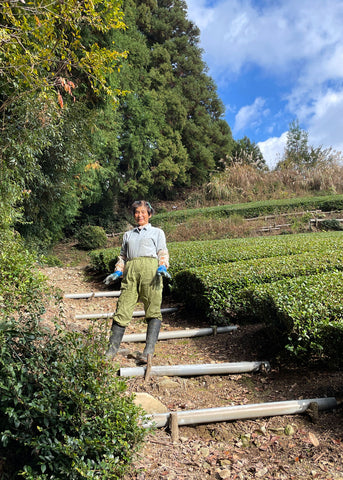 Sorate Matcha Uji Japan Farm