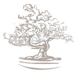 Mindful Tree