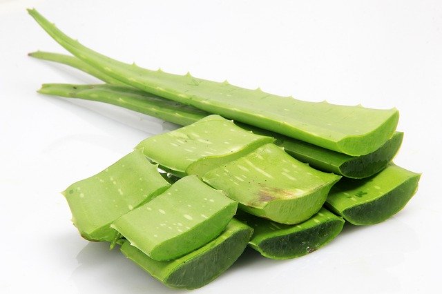 Aloe Vera Moisturizer botanical ingredient