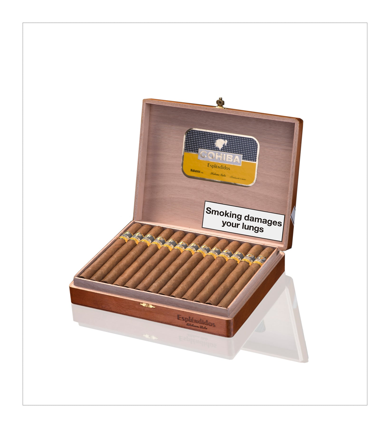 Cohiba Panetelas - Cuban Cigar – No6Cavendish