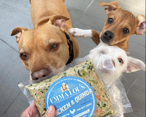 homemade dog food in california