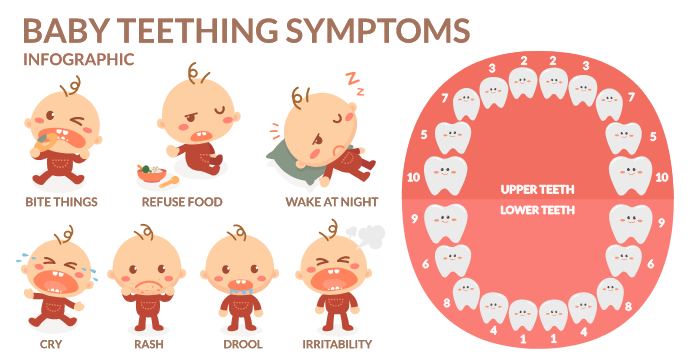 Teething Rash Symptom