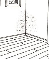 Harms of High Humidity -Mold Growth