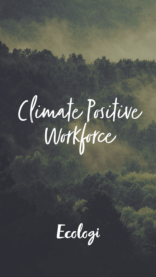 Climate Positive Workforce with Ecologi with image with trees in the mist