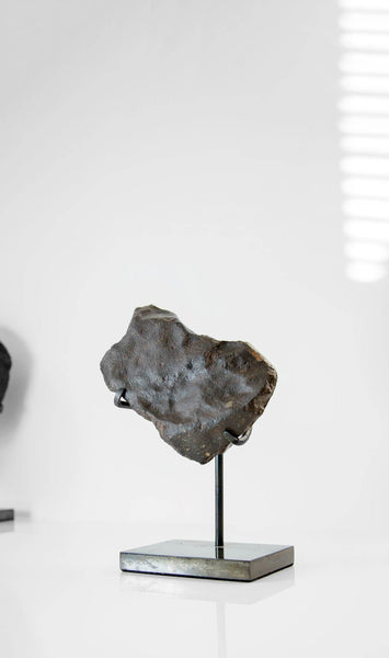 Our fallen star series NWA H5 Iron Meteorite for sale presented on a custom-designed bronze stand by THE FOSSIL STORE
