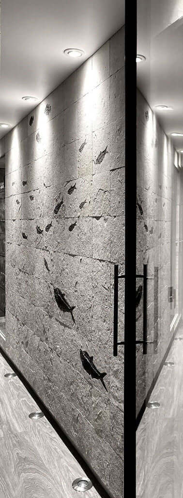 Luxury UK fossil fish tile wall for sale at the premiere uk fossil store