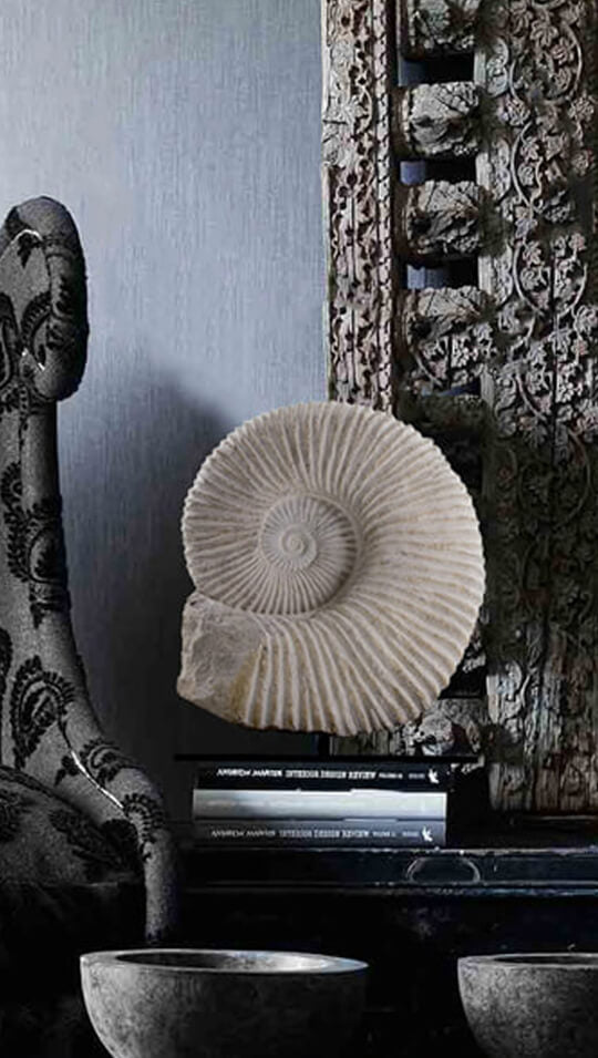 Beautifully presented Mantelliceras ammonite fossil for sale on custom designed bronze stand