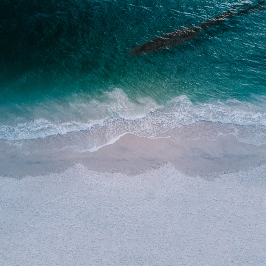 Large prehistoric squid shadow beneath the waves crashing on the beach