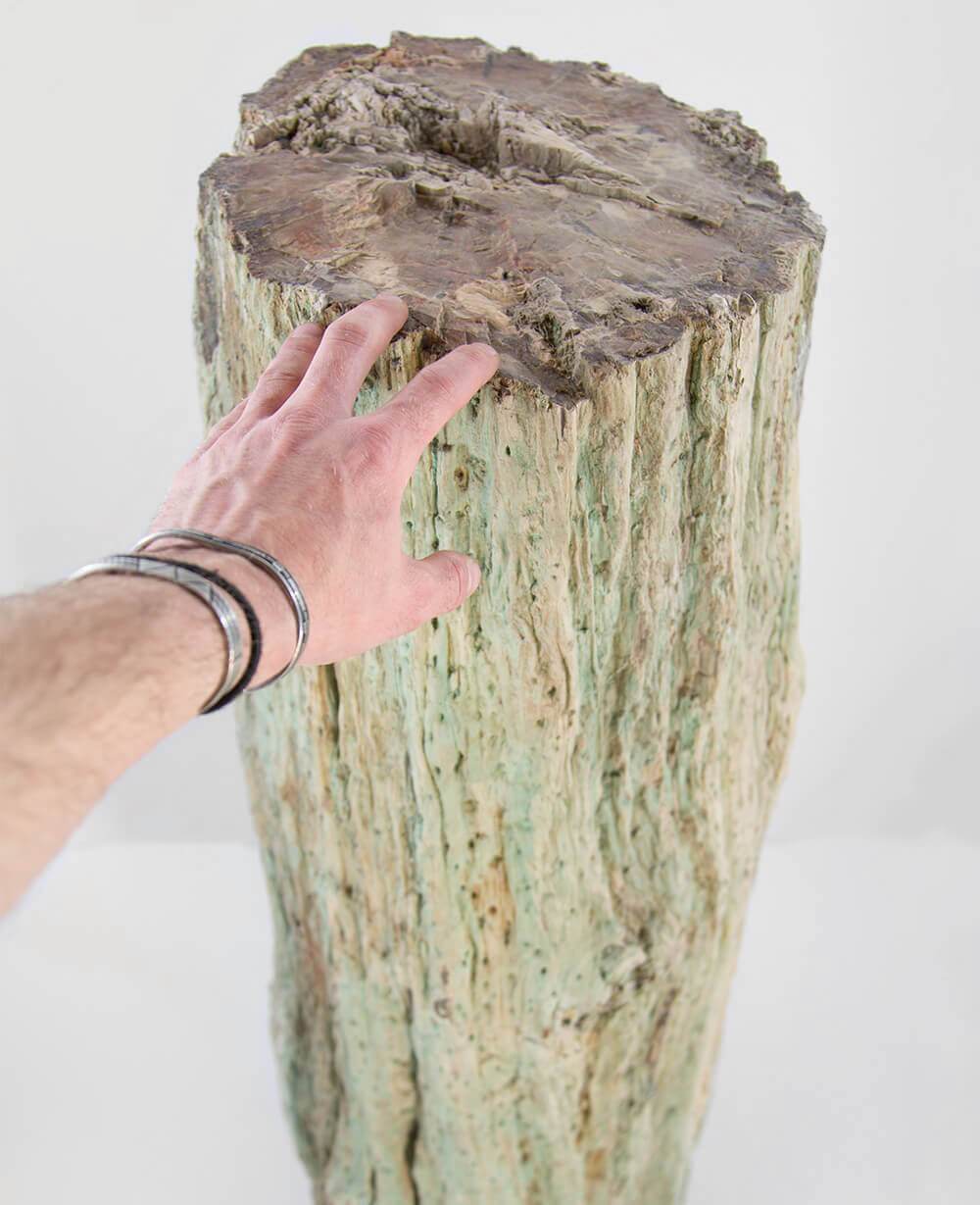 Petrified tree trunk