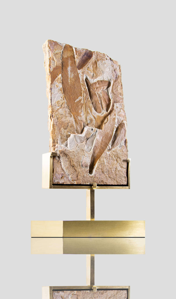 Luxury fossil leaf on a brass stand for home interior decor