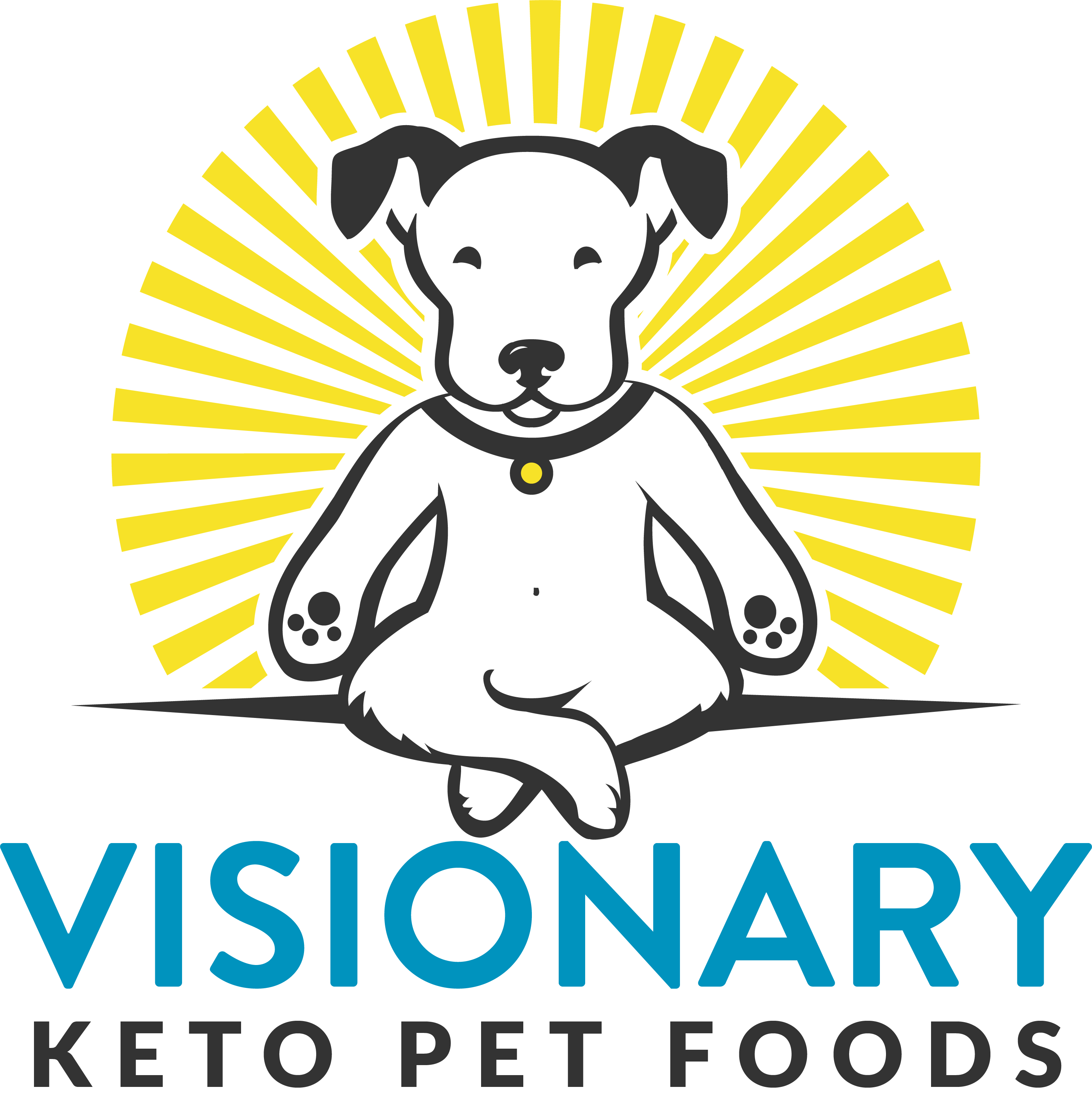 ketogenic dog food