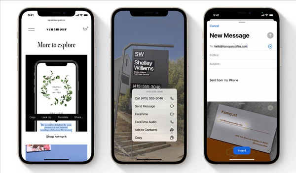 Live Text and Visual Lookup Feature