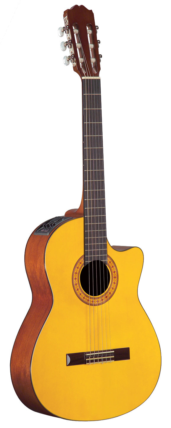 takamine g series eg124c price