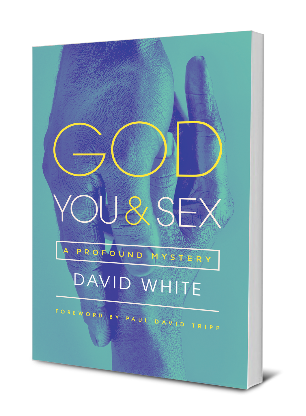 God, You, & Sex: A Profound Mystery â€“ Harvest USA