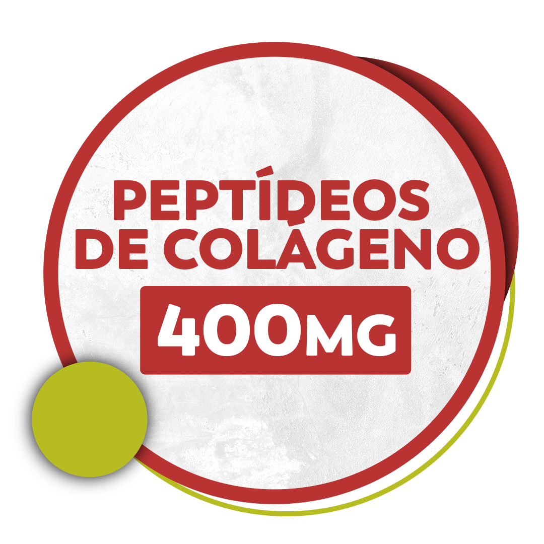 Circulo colágeno.png__PID:8d21c161-7498-4657-9366-45f445e6b410