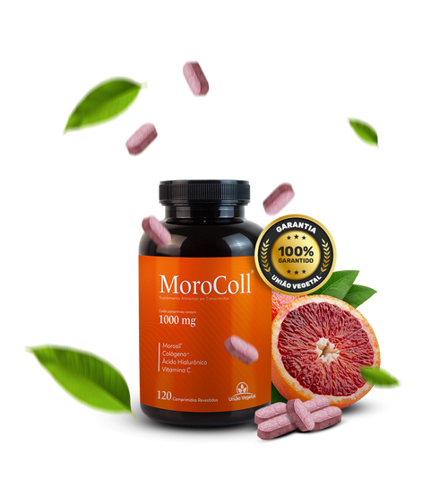 Morocoll_Laranja_Comprimidos_Folhas.png__PID:408bd3c3-6186-4ad6-90df-f5e5ab909cdc